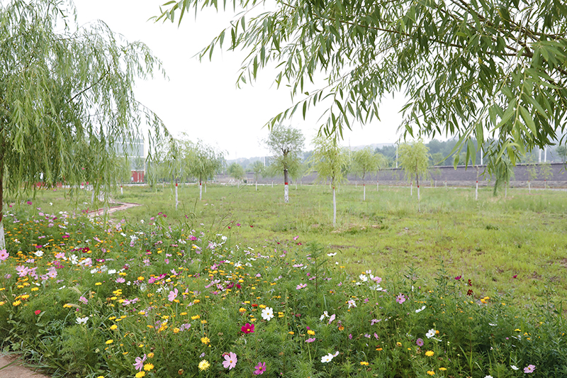 廠區(qū)花園