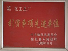 2000年榆社縣引資爭項(xiàng)先進(jìn)單位