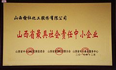 2010年山西省最具社會責任中小企業(yè)